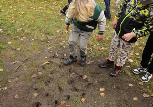 Uczniowie klas I-III sadzą cebulki krokusów