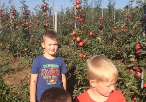 Troje dzieci na pierwszym planie, a za nimi drzewka z czerwonymi jabłkami