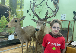 Dziewczynka w koszulce z imieniem Zuzanna stoi przy eksponatach znajdujących się na wystawie przyrodniczej