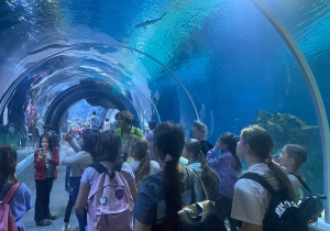 Dzieci w tunelu wodnym