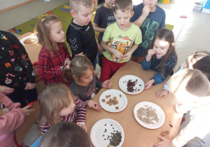Dzieci degustują ziarna i orzechy