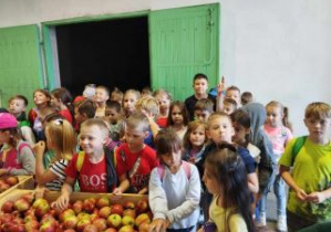 Uczniowie stoją przy paletach z jabłkami