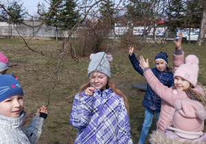 Uczniowie pokazują pączki na drzewach