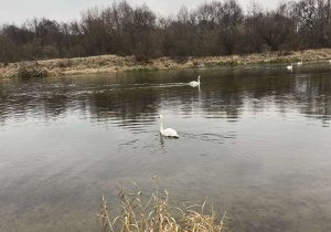Plener fotograficzny nad rzeką Pilicą w ramach Innowacji fotograficznej