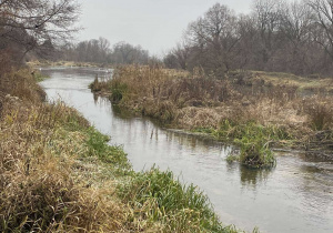 Plener fotograficzny nad rzeką Pilicą w ramach Innowacji fotograficznej