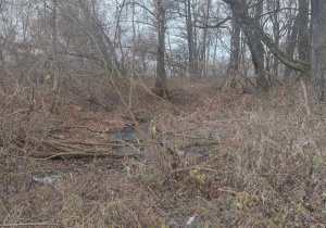 Plener fotograficzny nad rzeką Pilicą w ramach Innowacji fotograficznej