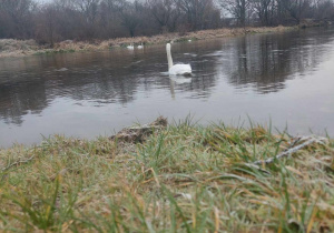 Plener fotograficzny nad rzeką Pilicą w ramach Innowacji fotograficznej