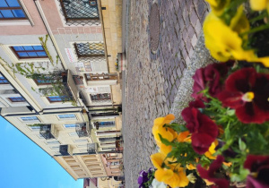 Sandomierz stare miasto