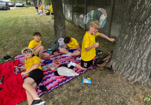 Chłopcy na pikniku